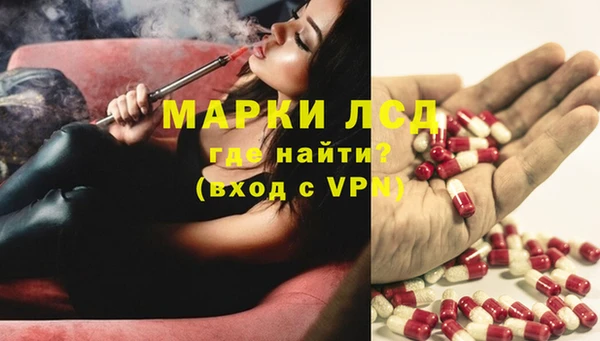 spice Волосово